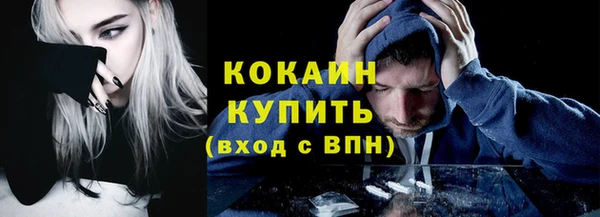 гидра Инсар