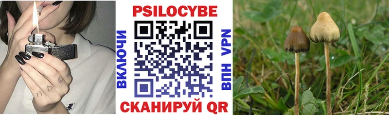 Псилоцибиновые грибы Psilocybine cubensis Краснокамск